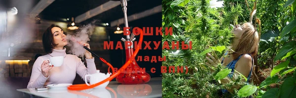 дурь Алзамай
