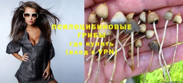 дурь Алзамай